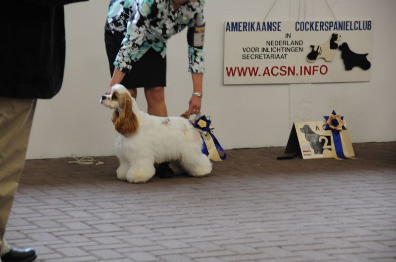 DSC_0849.jpg