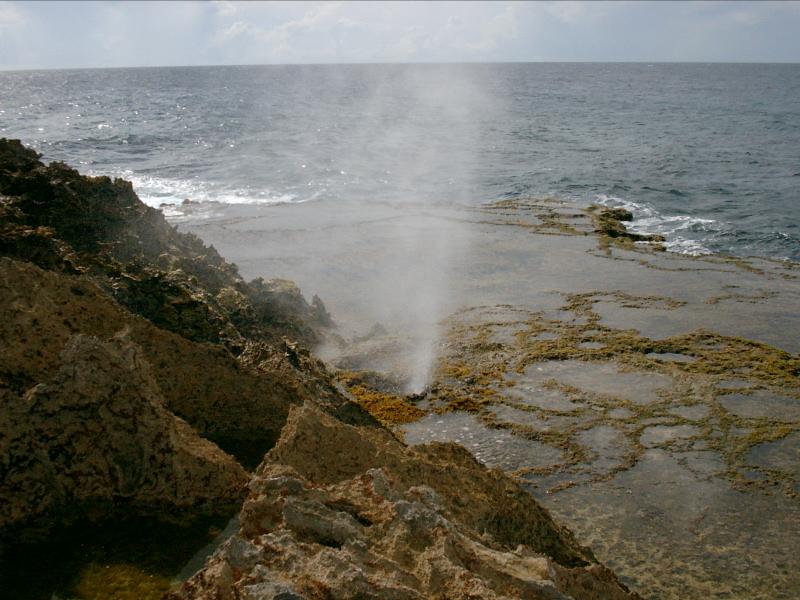 PICT0034.JPG