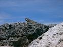PICT0026