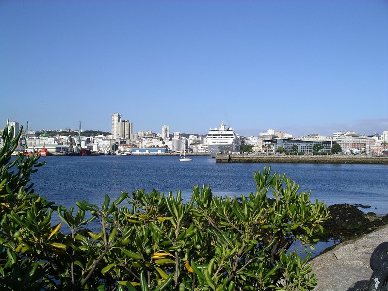 IMGP7293.JPG