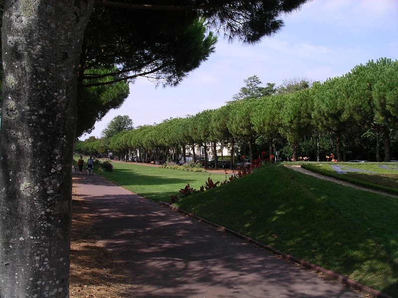 IMGP7462.JPG