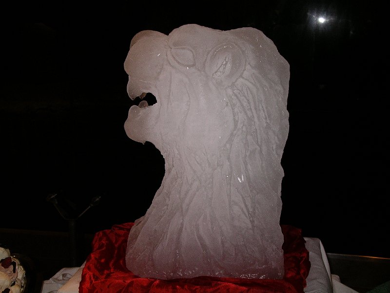IMGP7484.JPG