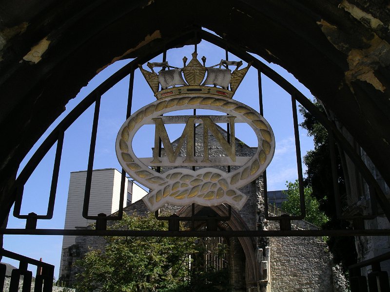 IMGP7537.JPG