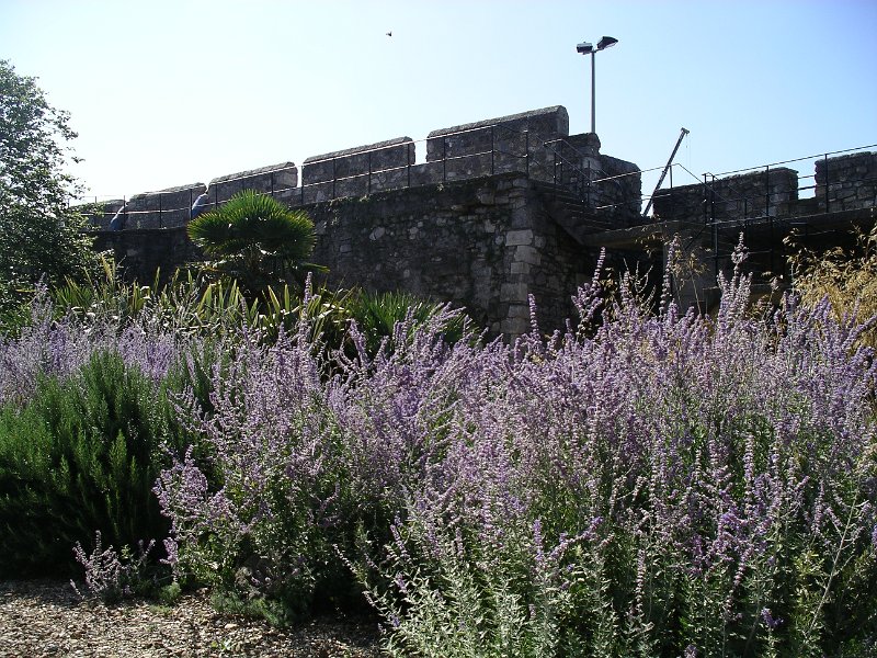 IMGP7555.JPG