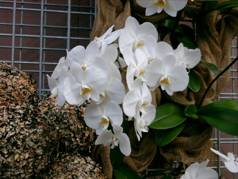 PICT0035.JPG