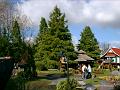 PICT0007