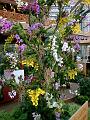 PICT0032