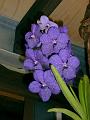 PICT0036