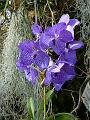 PICT0037