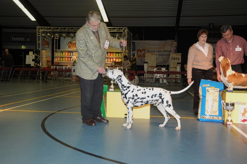 rg6_2.jpg