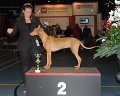 pupzat_2