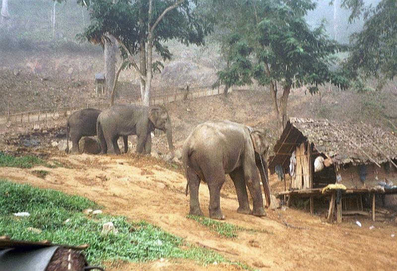 Thai2002_0073.JPG