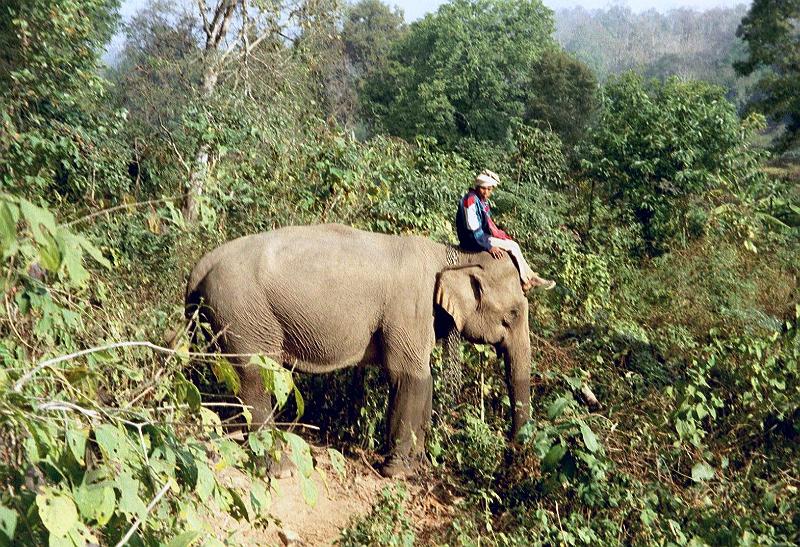 Thai2002_0079.JPG