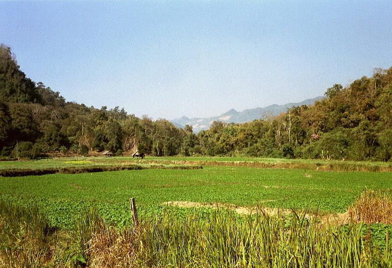 Thai2002_0126.JPG