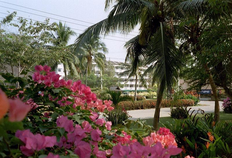 Thai2002_0140.JPG