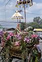 Thai2002_0001