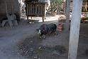 Thai2002_0013