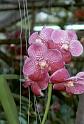Thai2002_0021