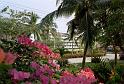 Thai2002_0140