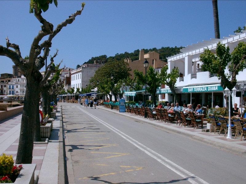 tossa20020019.JPG