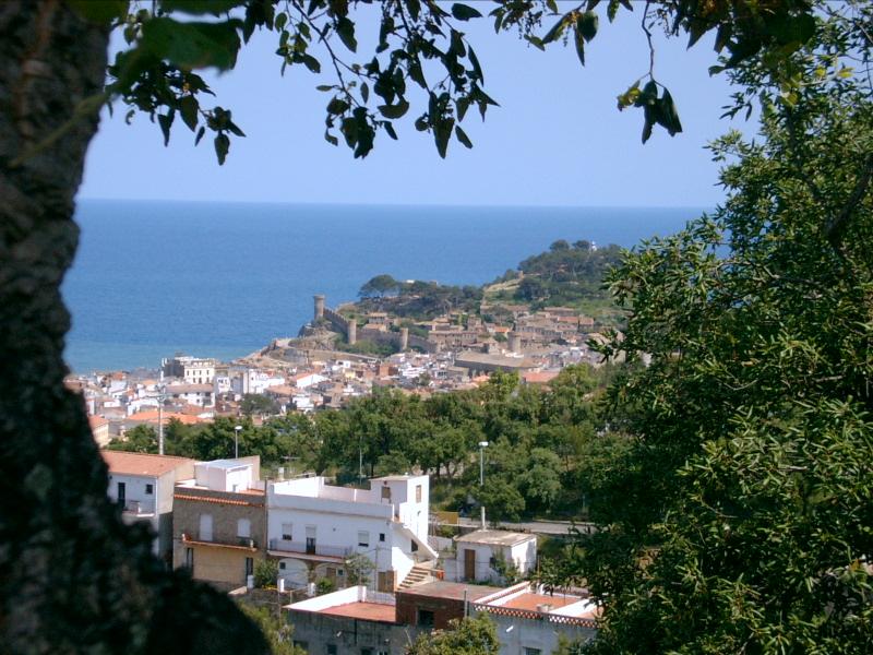tossa20020040.JPG